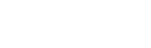 Technology partner logo
